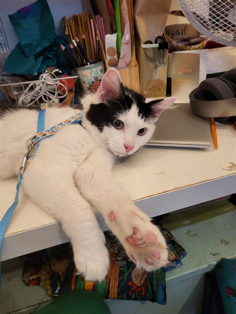 About – Tooting Market