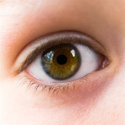 images open green brown eyebrow mouth close  human body