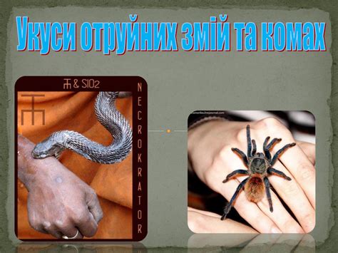Презентація " Укуси отруйних змій та комах"