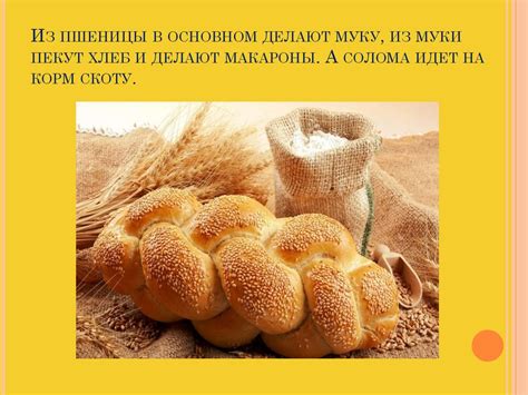 Пшеница – важнейшая зерновая культура - презентация онлайн