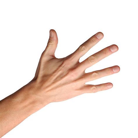 picture  hand  koleksi gambar
