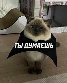 Все гениальное - просто!