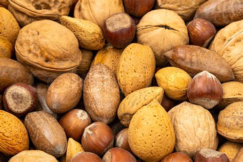 assortment  nuts  shells stock image colourbox