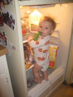 Life of Riley: Climbing In The Fridge