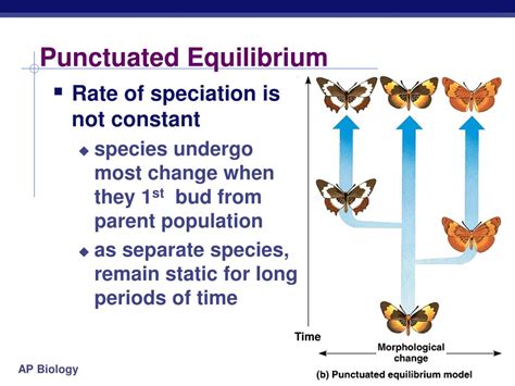 chapter  powerpoint    id