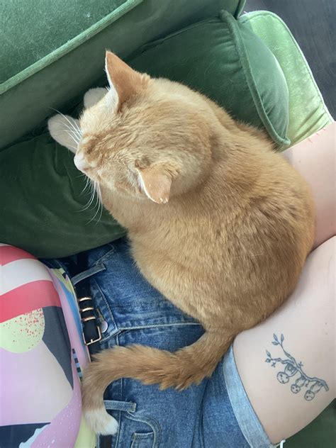 866 best u/melthewhale images on Pholder | U Melthewhale, Real Girls