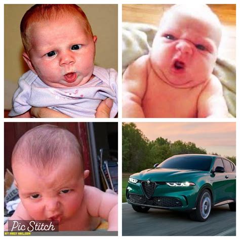 New Alfa Romeo SUVs be like… : r/carmemes