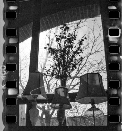 Lilly Anderson - River Whale Review