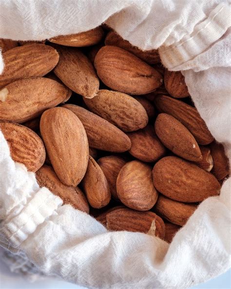 Comment faire germer et cultiver des amandes ? - FemininBio