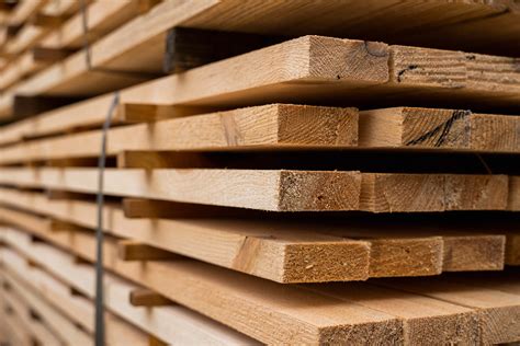 Timber special: the key to lower emissions?