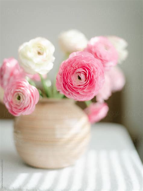 "Flower Arrangement Of Ranunculus" by Stocksy Contributor "Marta ...