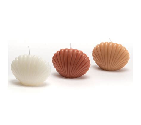 Bougie Coquillage Nude (lot De 8) - Bougie BUT