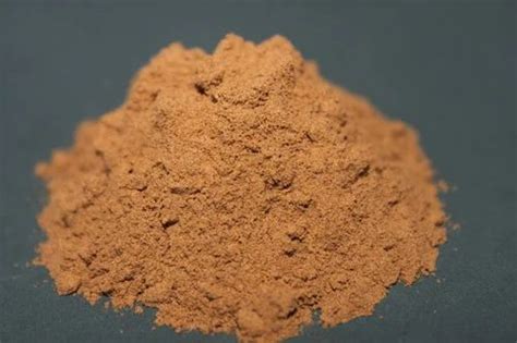 Terminalia Chebula Fruit Extracts at best price in Indore by Tulsi ...