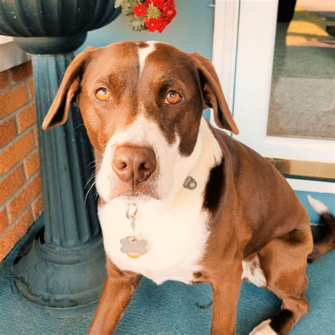 wildwood animal clinic 8