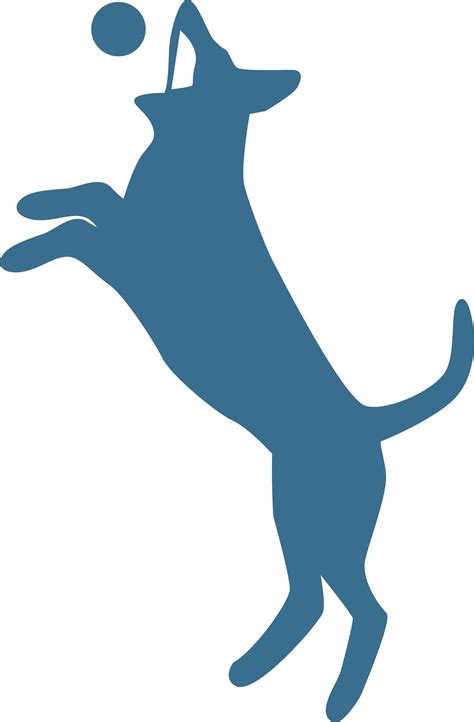 Refurbished Equipment — Retrieve Medical Equipment