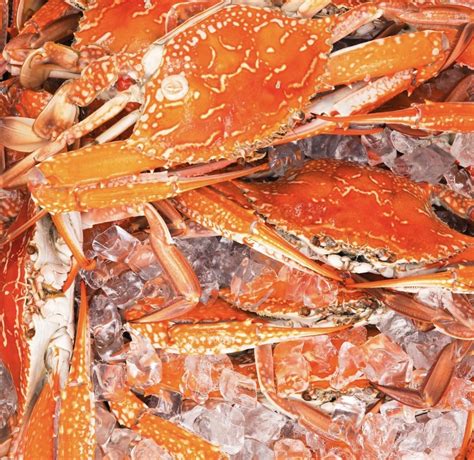 Fresh Catch: Manly Boathouse Launches New Seafood Market The Trawler ...