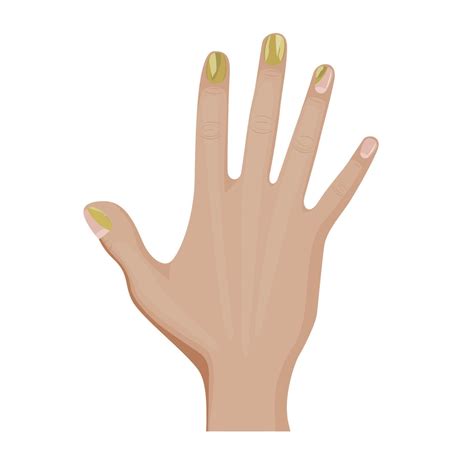 Onychomycosis on the fingernail. Fungal infection of nail on hand