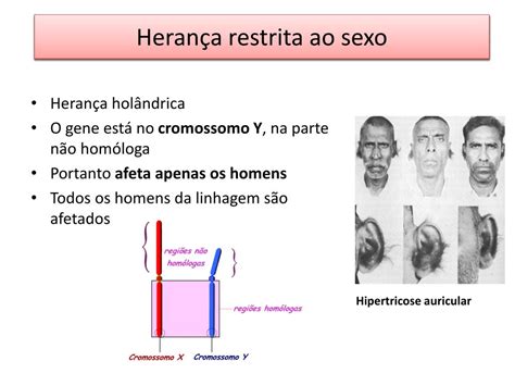 Herança Restrita Ao Sexo