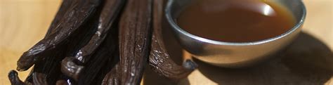 Vanilla Extract & Paste – Vanilla From Tahiti