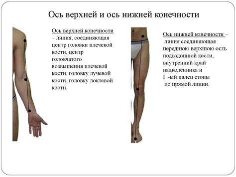 Методы обследования в травматологии и ортопедии - презентация онлайн