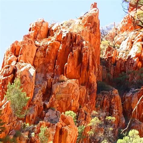 Tom on Australia's Northern Territory | Luxury Holidays | Black Tomato