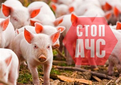Департамент агропромислового розвитку