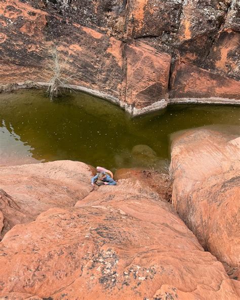 Neve (@wisewordsfromneve) • Instagram photos and videos