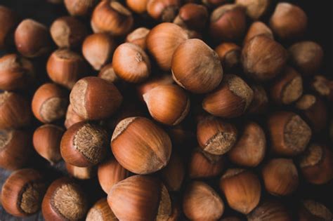 Inature Images – Browse 58 Stock Photos, Vectors, and Video | Adobe Stock