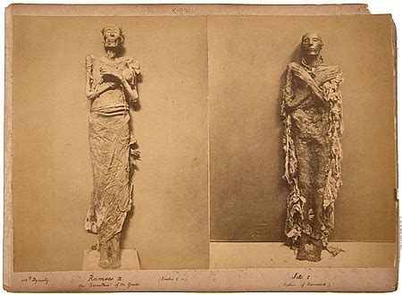 Lot - MUMMIFIED EGYPTIAN PHAROAHS