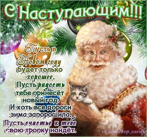 Новогодние коктейли 2019 и напитки в год Свиньи - какие напитки пить на ...