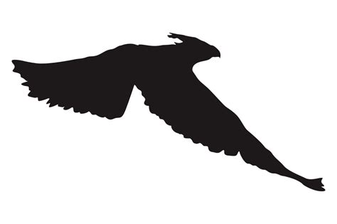 Animal - Flying Eagle Silhouette 23258101 PNG