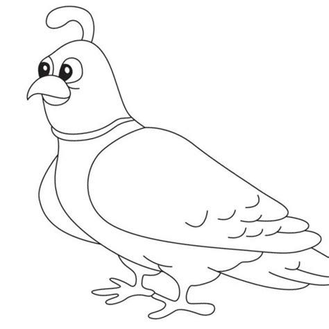 Quail Coloring Pages Simple Drawing - Free Printable Coloring Pages