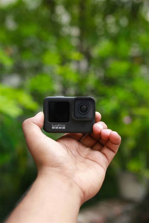 Ndor cameras are capturing incredible footage of local wildlife 2