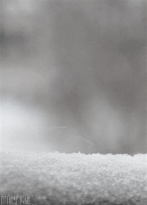 Snow Winter GIF - Find & Share on GIPHY