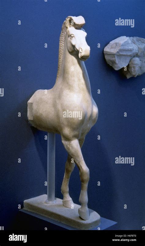 Ancient Greece. Archaic sculpture of a horse. 490 BC. Marble. Acropolis ...