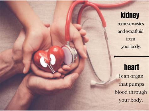 KIDNEY & HEART