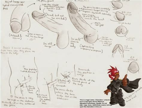 HOW TO DRAW THE PENIS by AmayaHayate - Hentai Foundry