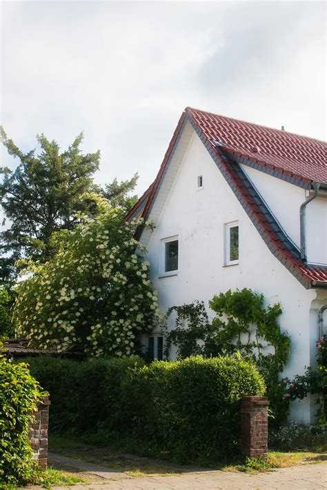 Madison+Ivy+Bikini+Pics Photos, Download The BEST Free Madison+Ivy