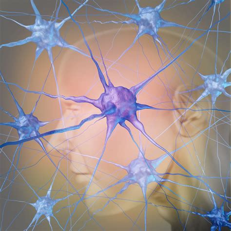 Parkinsonin tautiin kehitteillä uusi lääke - Potilaan Lääkärilehti