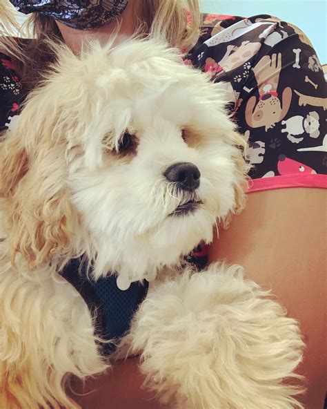 San Diego, CA 92109 Veterinary Appointment | ABC Veterinary Hospital