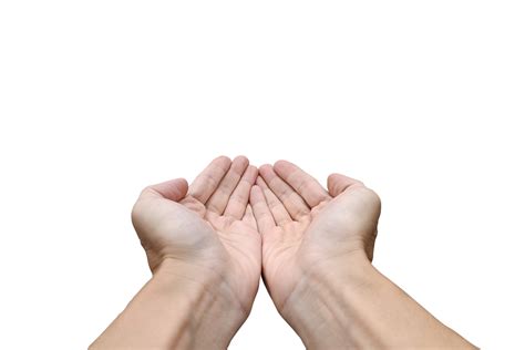 hold out one's hand. presenting with hand 21008072 PNG