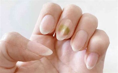 nail salon chinon