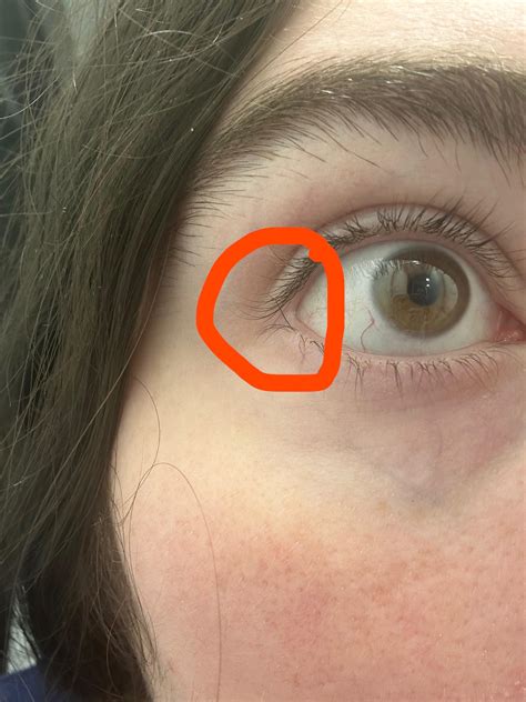 My top eyelashes love to get tangled in my bottom eyelashes : r