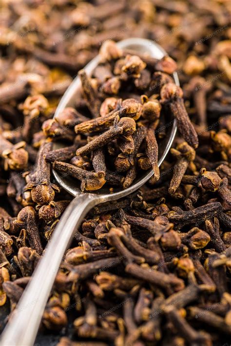 cloves joyful belly  ernestine verna blog