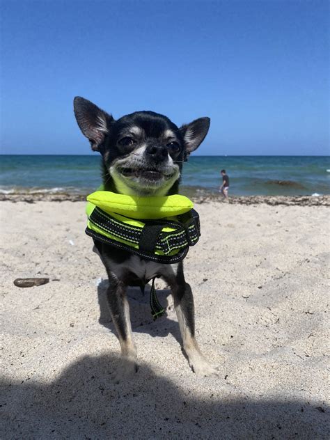 Angie Varona™ on Twitter: "RT @Saratopiaa: For every RT I’ll tell him