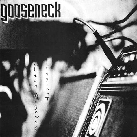 gooseneck  mke punk