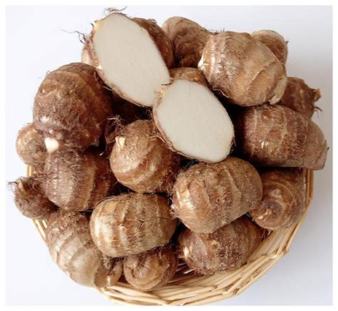 Delicious Fine Grade Taro Tubers - Fresh Taro Harvest and New Harvest Taro