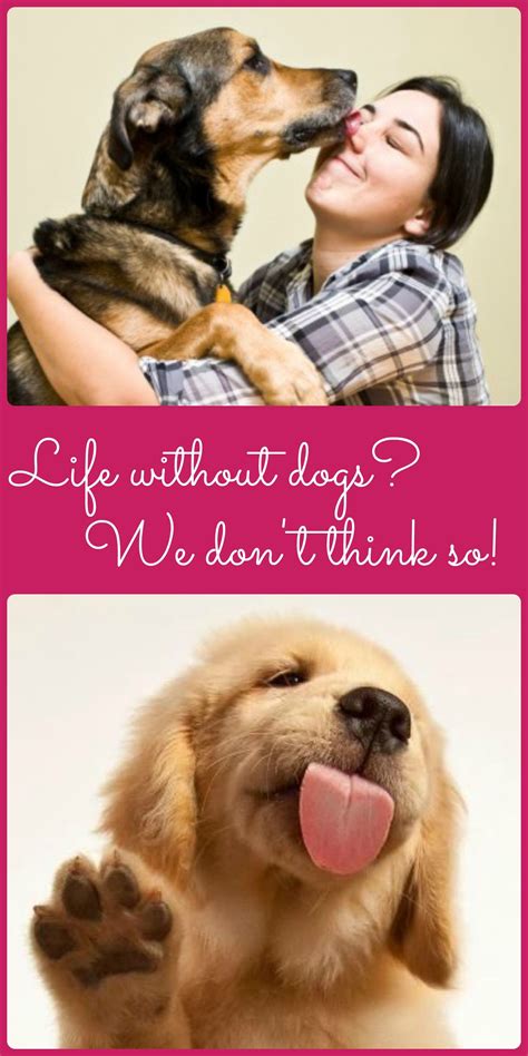 7 Reasons Why You NEED Doubelisy In Your Life Today Image 14