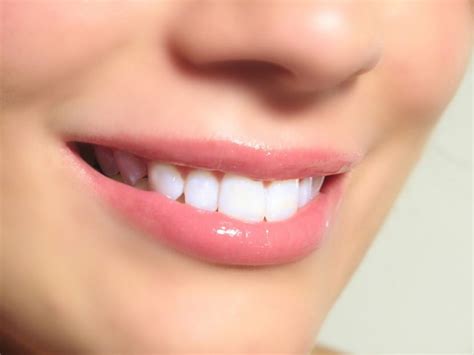 Functions of Teeth: Their Importance for Oral Health