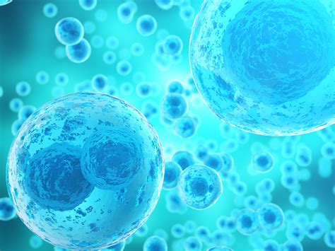 Only God Could Have Made Cells | The Institute for Creation Research
